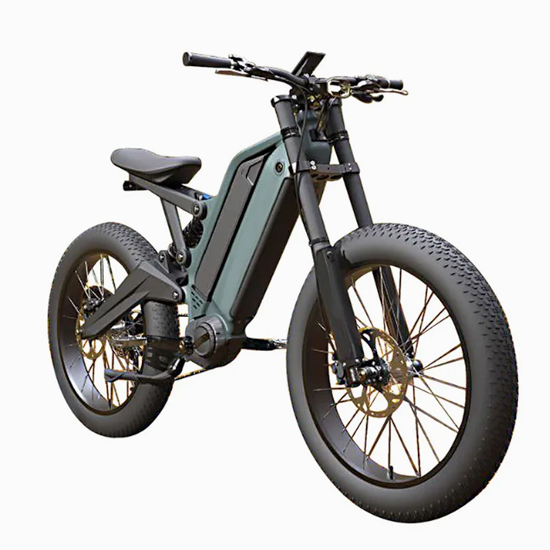 1000W Electric Bike