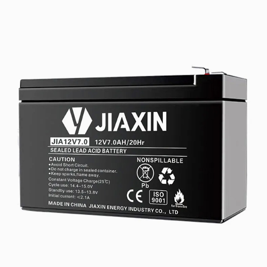 High Capacity UPS Battery